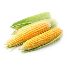 Кукуруза свежая